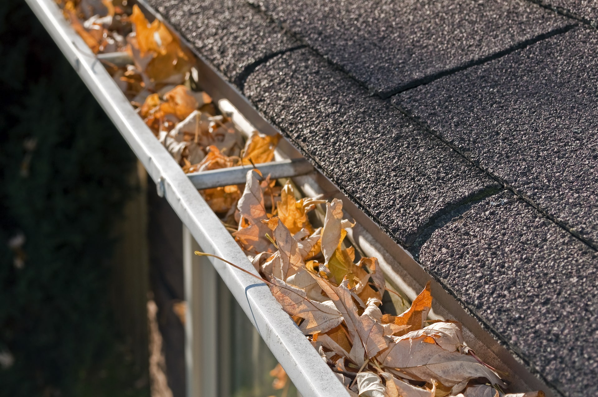 rain gutters rain gutters cleaning and sealing